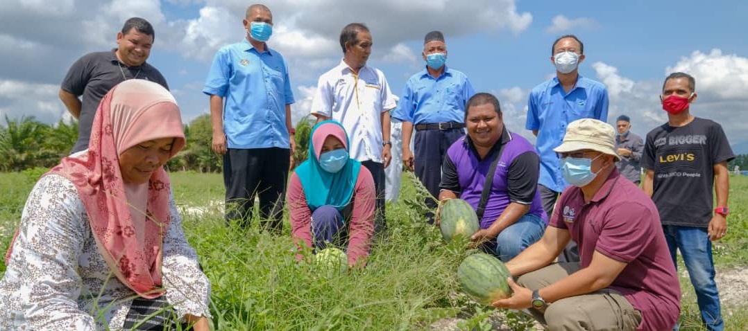 Peserta Ladang Kontrak Peroleh Pendapatan Lumayan