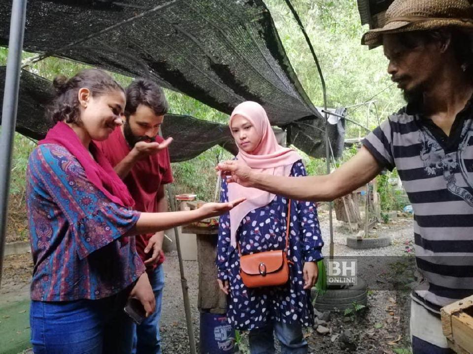 Ambil Madu Terus Dari 190 Sarang Lebah