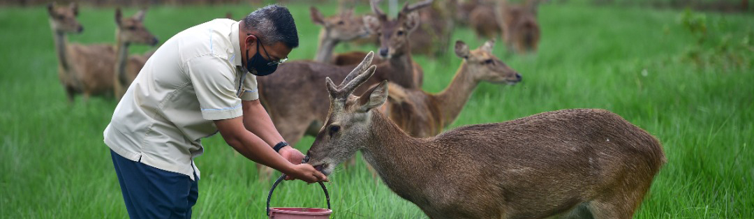 Projek Rusa Nukleus Terengganu Sasar Keluar Hasil 2023