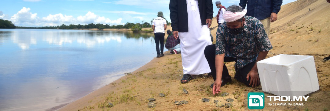 Pendidikan Konservasi Tuntung Laut Melalui Produk Pelancongan