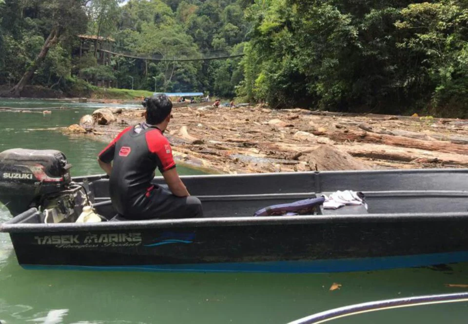 Jabatan Perhutanan Digesa Alih Segera Kayu Hanyut di Tasik Kenyir